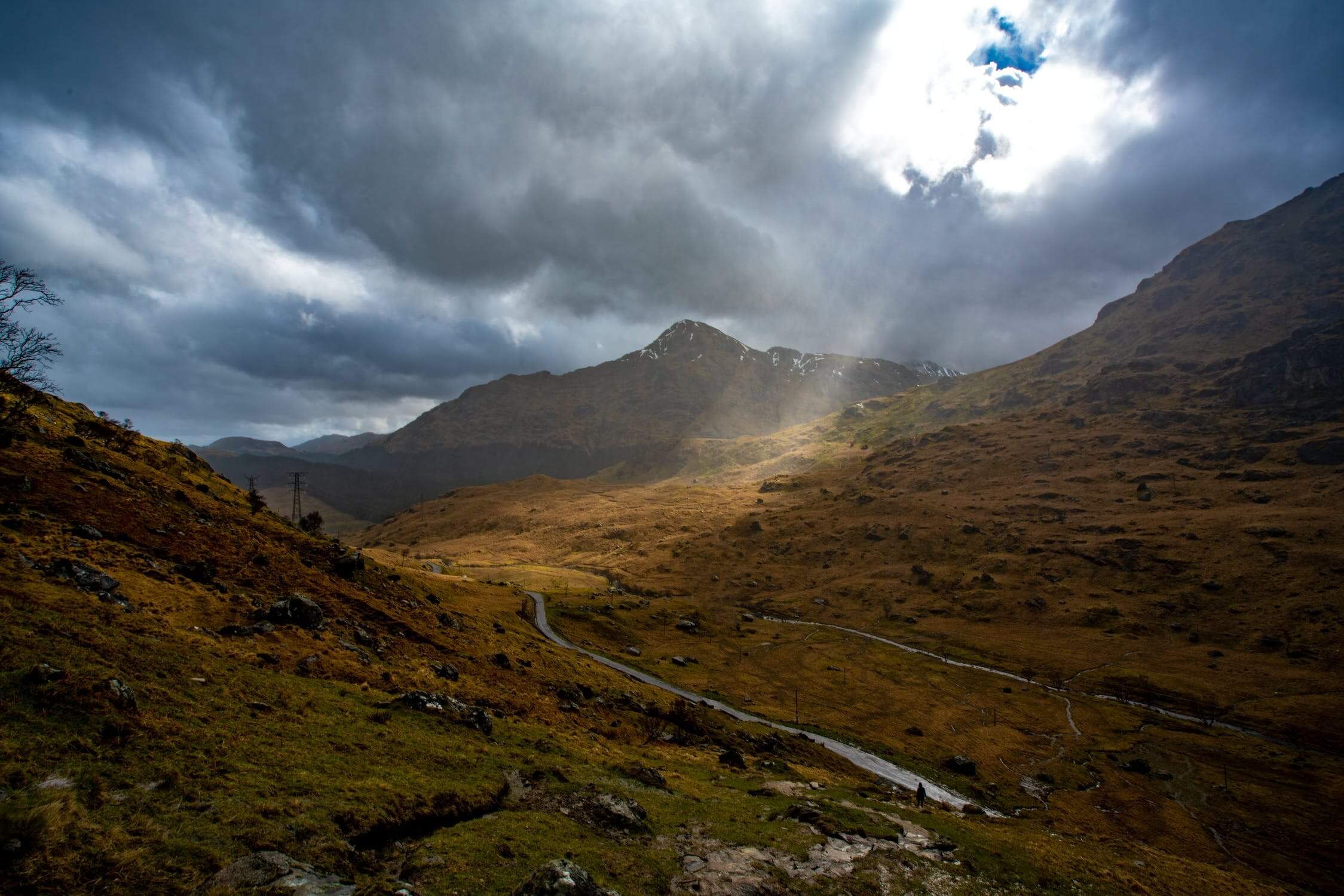 West Highland Way Ecosse